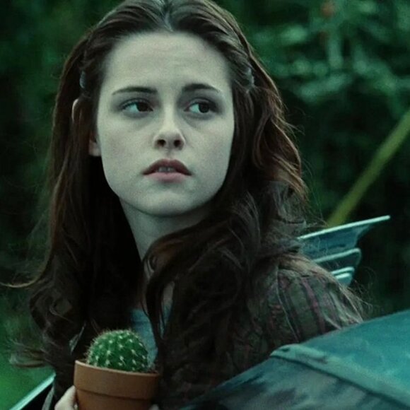 H&M Plaid Snap-Up Blouse Shirt ALT Bella Swan - Picture 6 of 7